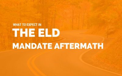 The ELD Mandate Aftermath