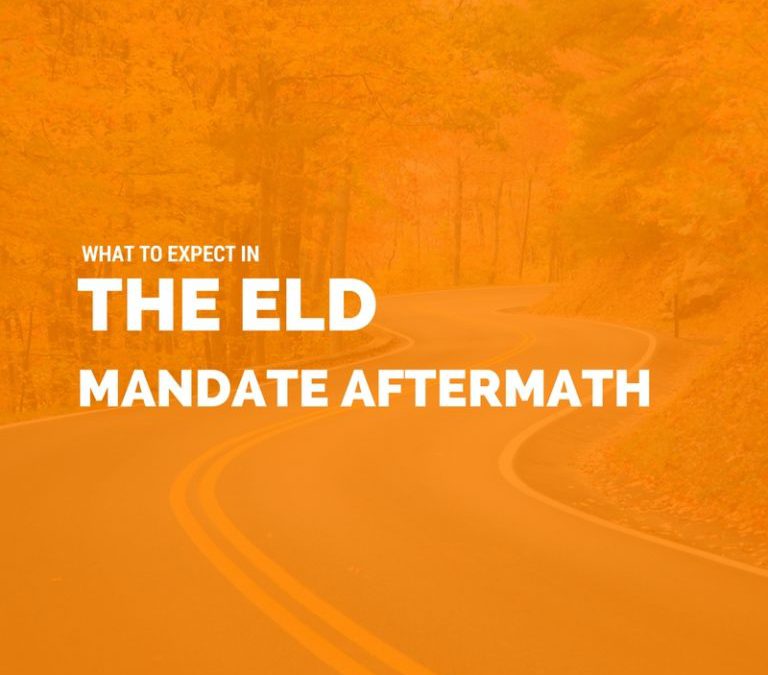 The ELD Mandate Aftermath