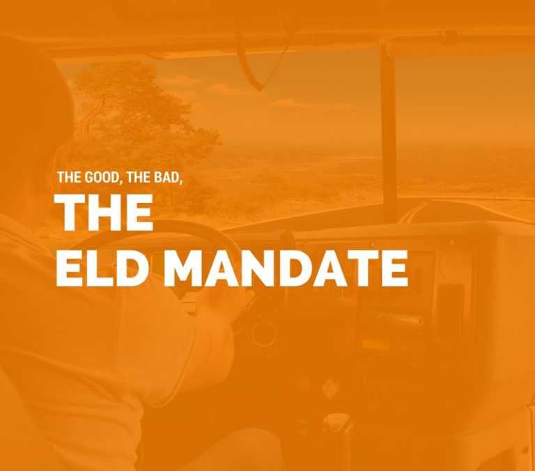 The Good, the Bad, the ELD Mandate