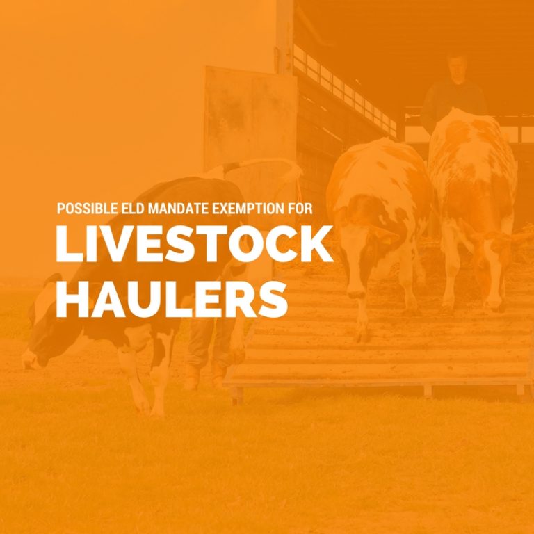 Will-Livestock-Haulers-Be-Exempt-from-the-ELD-Mandate_-My20-ELD-Konexial