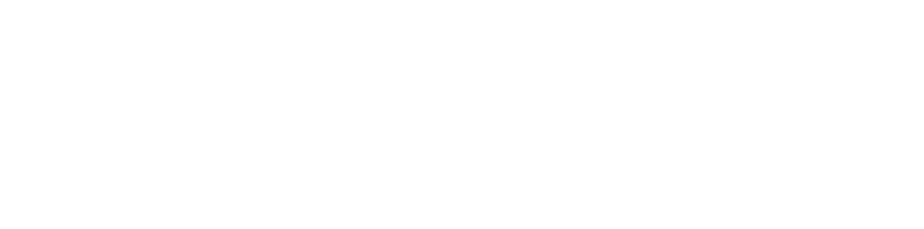 Drivewyze logo - konexial.com