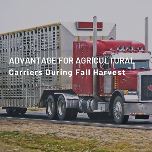 ELD for AG_Konexial_Blog