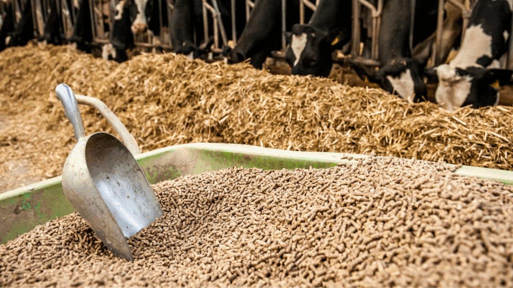 Dairy feed delivery supporting agricultural fleet safety and compliance on a farm route"